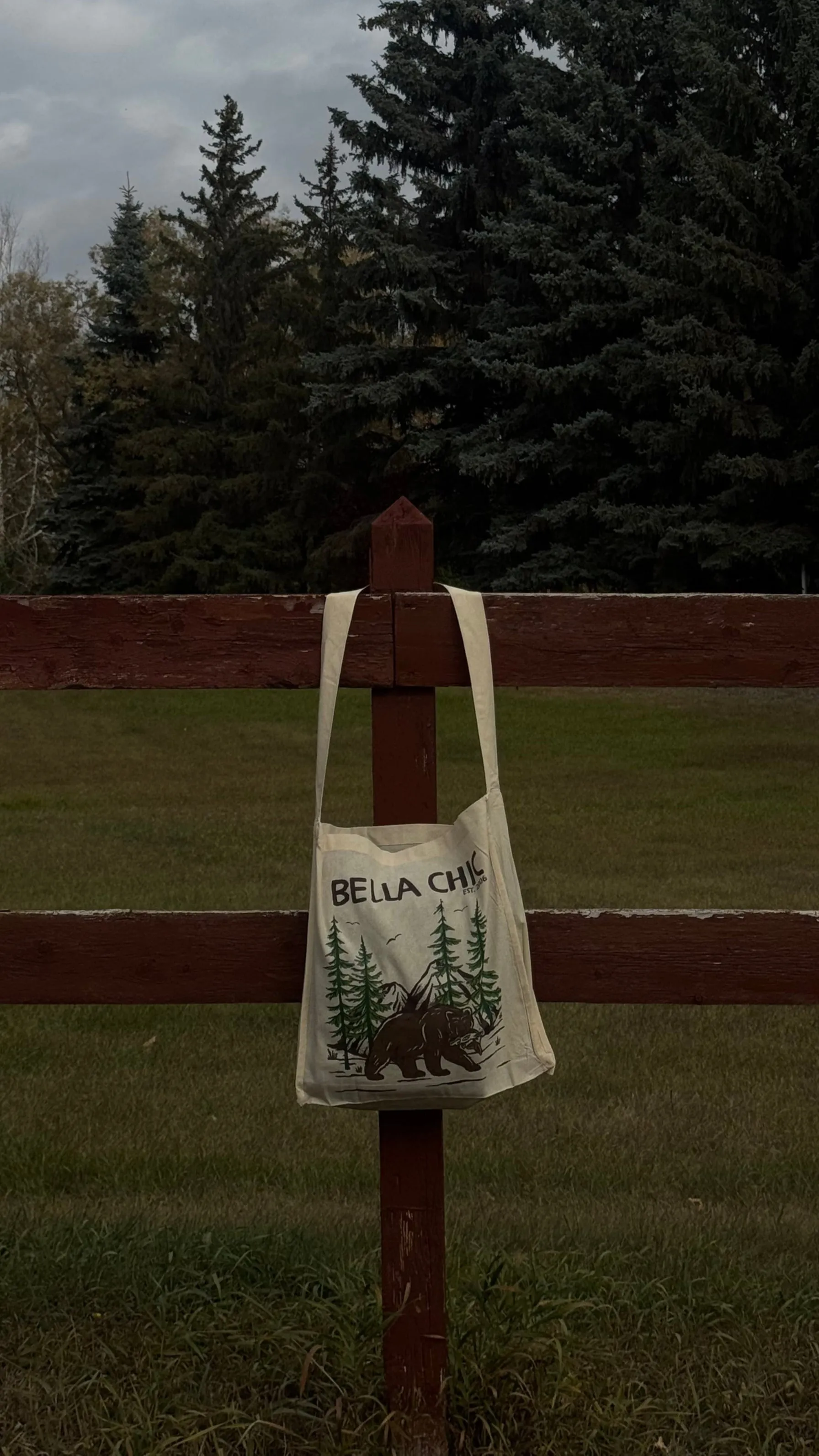 Bella Chic Tote sold by Bella Chic product image thumbnail 2