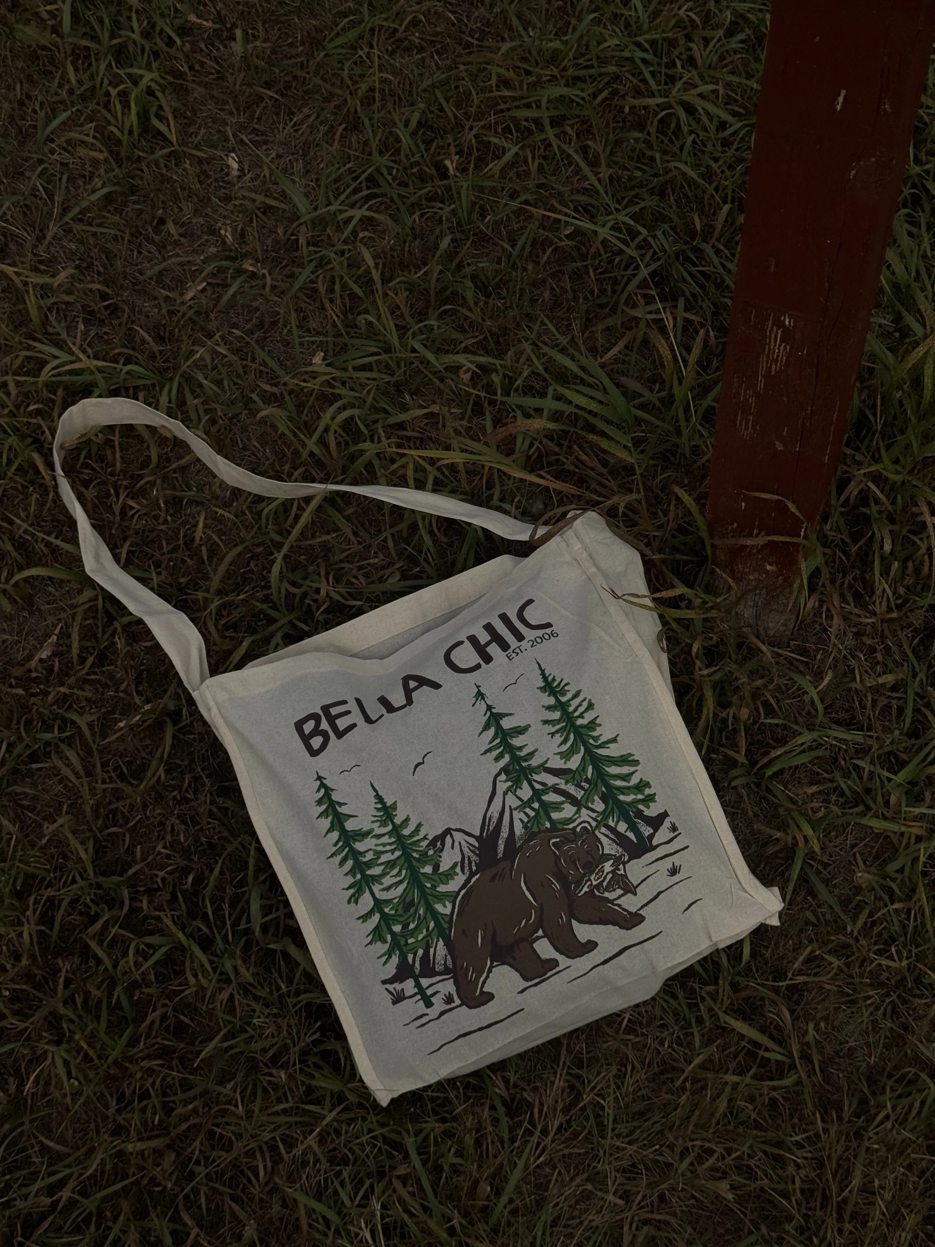 Bella Chic Tote sold by Bella Chic product image thumbnail 3