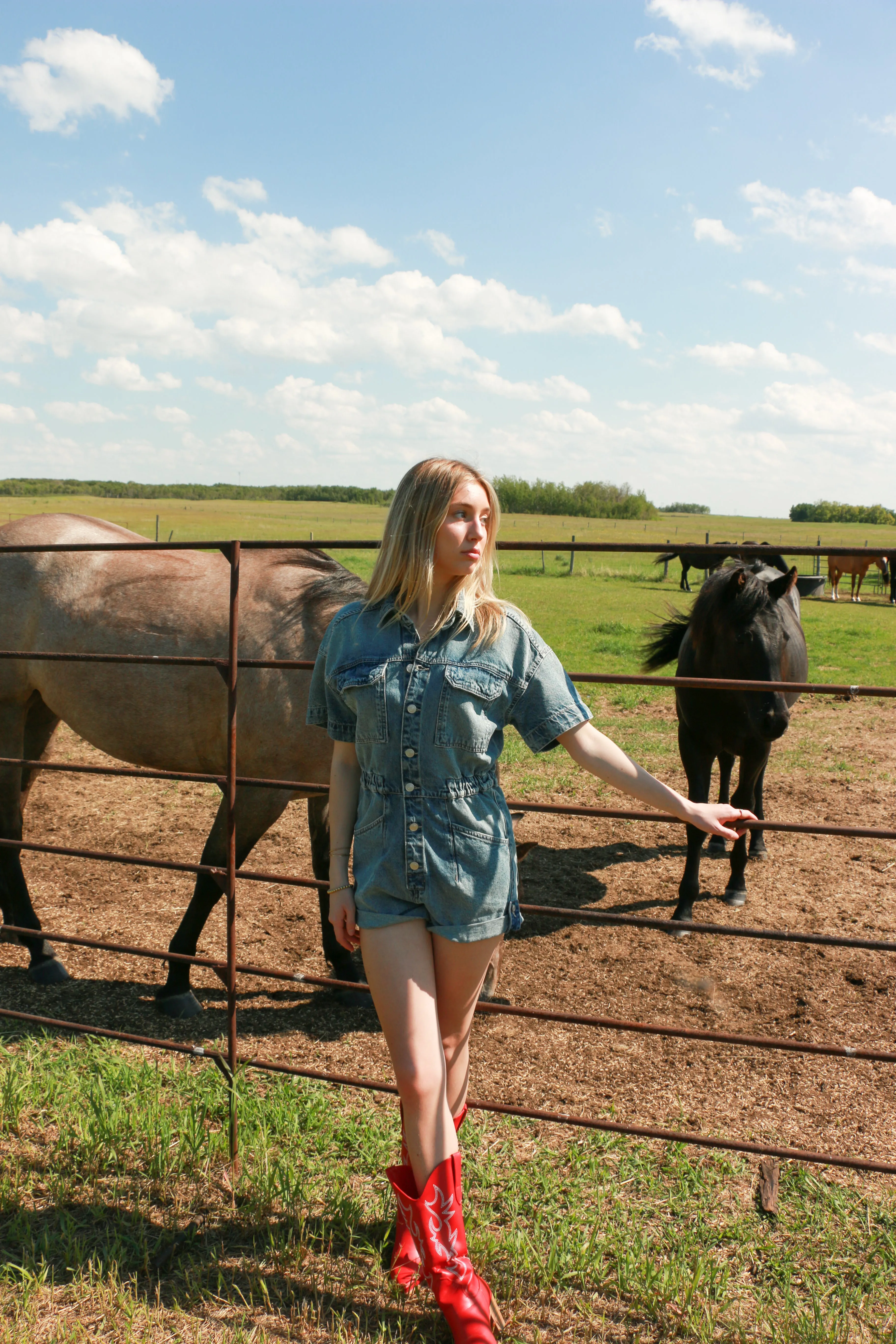 We The Free Marci Cuffed Shortall sold by Bella Chic