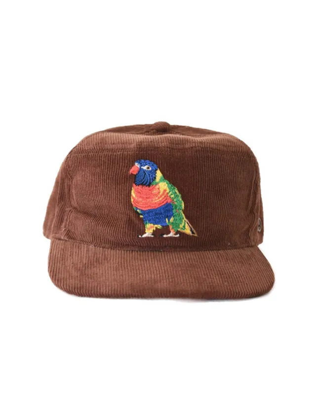The Stash Cap - Corduroy - Brown Rainbow sold by Fallen Broken Street