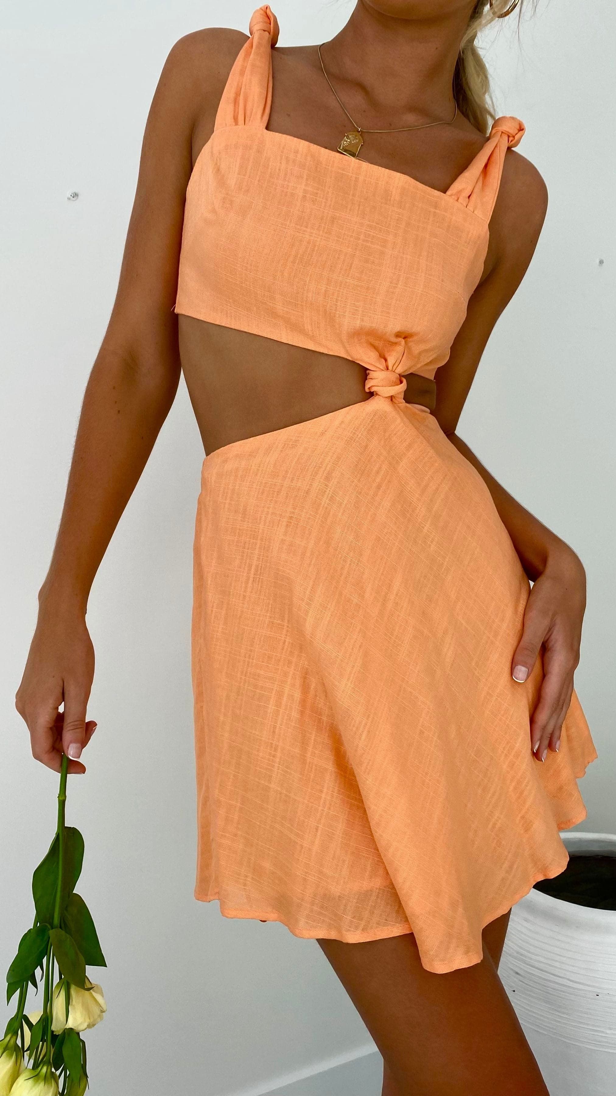 Renee Mini Dress - Melon sold by Billy J product image thumbnail 5
