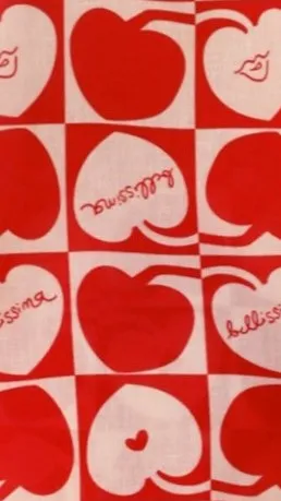 Abilene Wrap Mini Skirt - Red / White sold by Billy J product image thumbnail 5