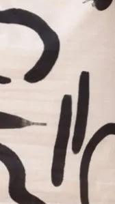 Caterina Pants - Sand/Black York sold by Billy J product image thumbnail 5