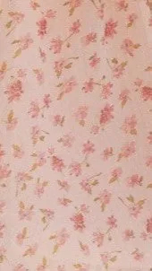 Oceane Mini Dress - Peach sold by Billy J product image thumbnail 5