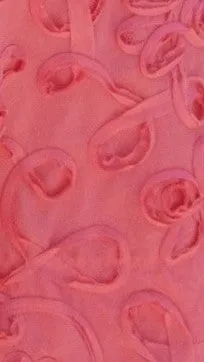 Calanthe Mini Dress - Hot Pink sold by Billy J product image thumbnail 5