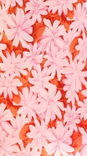 Margie Midi Dress - Pink/Red sold by Billy J product image thumbnail 4