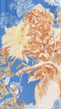 Charee Top - Blue/White Print sold by Billy J product image thumbnail 4