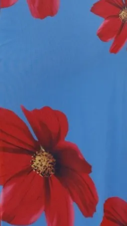 Eisa One Shoulder Maxi Dress - Blue / Red Floral sold by Billy J product image thumbnail 5