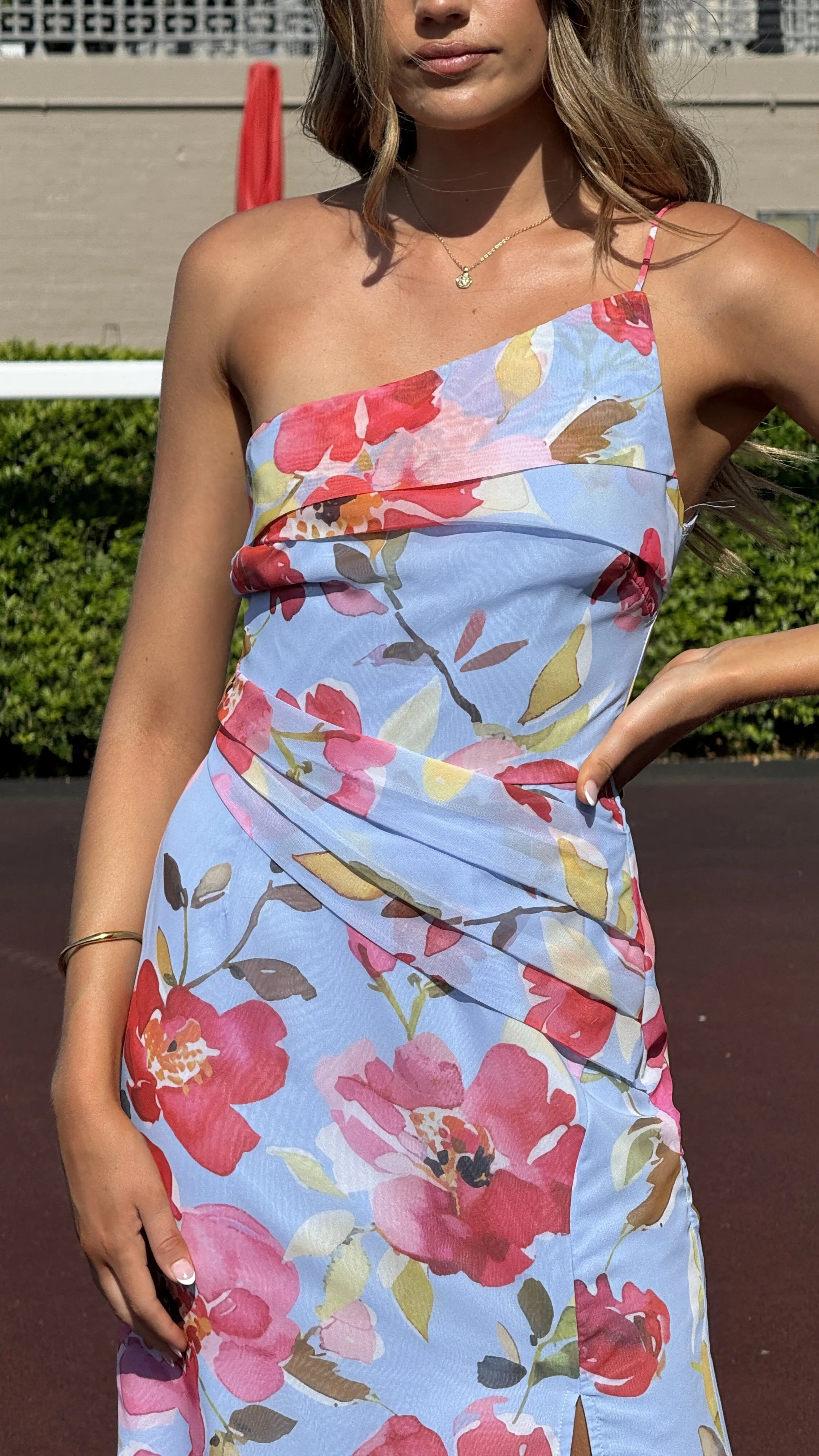 Karalina Maxi Dress - Blue/Pink Floral sold by Billy J product image thumbnail 4