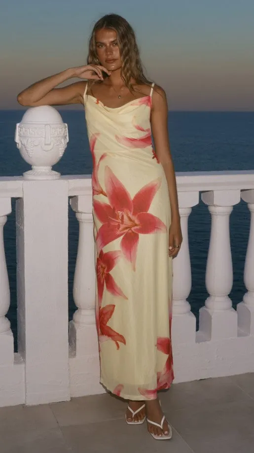 Nina Maxi Dress - Yellow Paradise sold by Billy J product image thumbnail 3