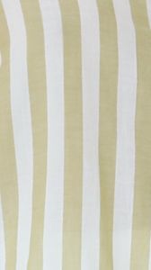 Mya Button Up Shirt - Pistachio Stripe sold by Billy J