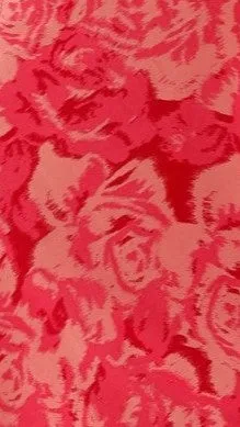 Margie Mini Dress - Pink Floral sold by Billy J product image thumbnail 5