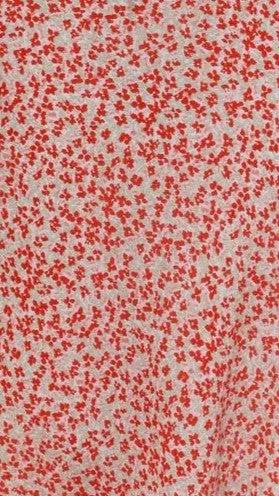 Fadri Maxi Dress - Red Floral sold by Billy J product image thumbnail 4