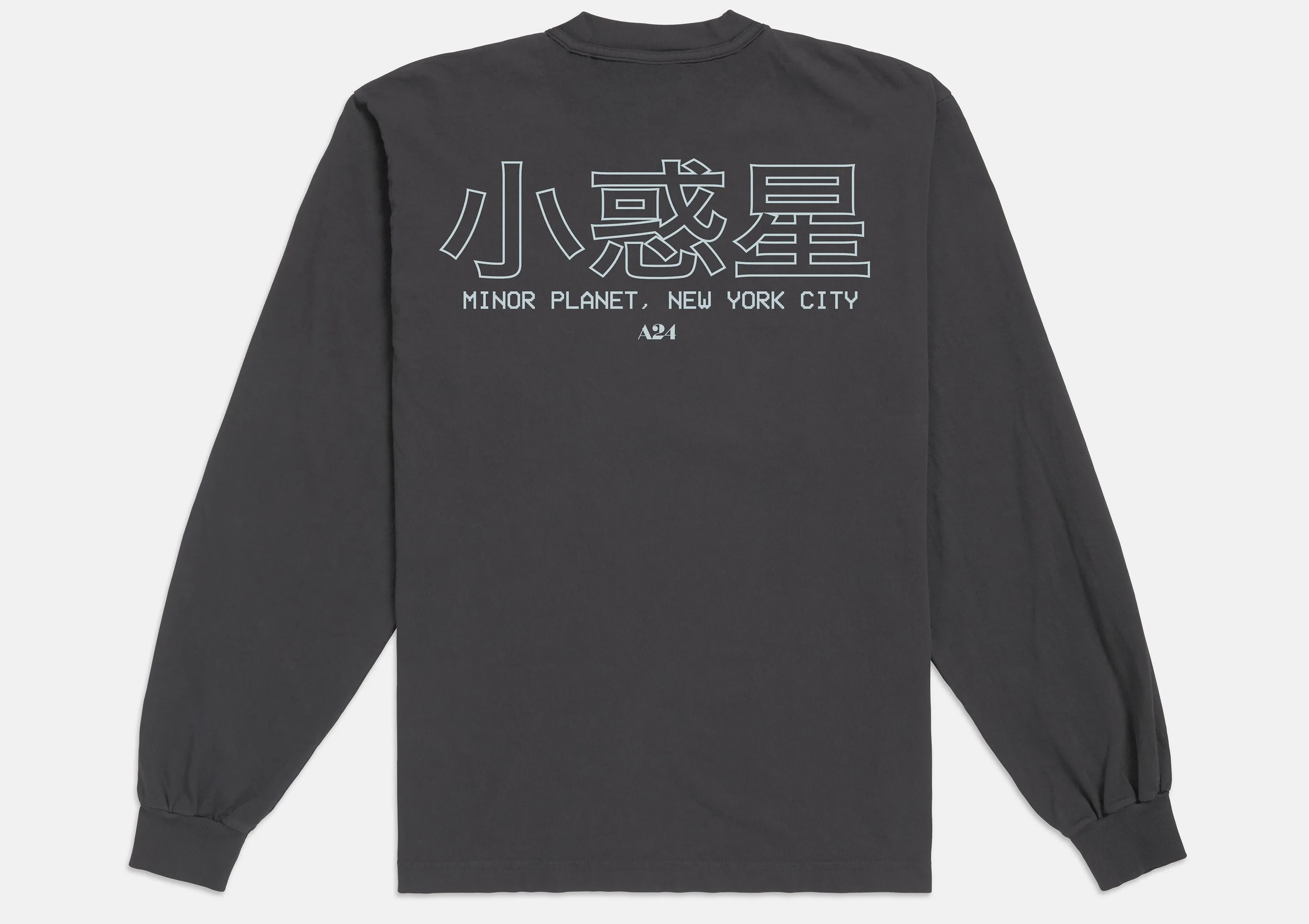 The Smashing Machine x Minor Planet Long Sleeve sold by A24 product image thumbnail 2