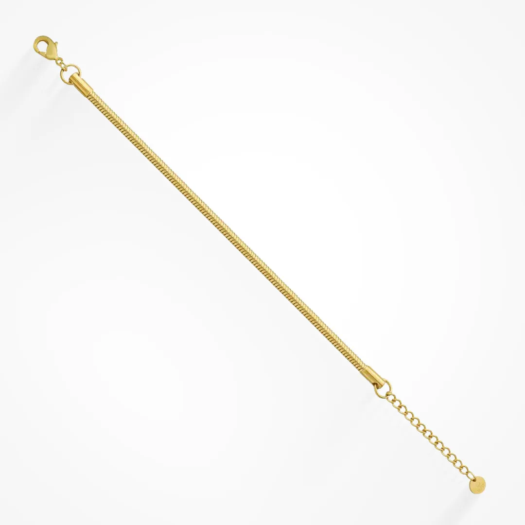 Boa Anklet sold by Evry Jewels