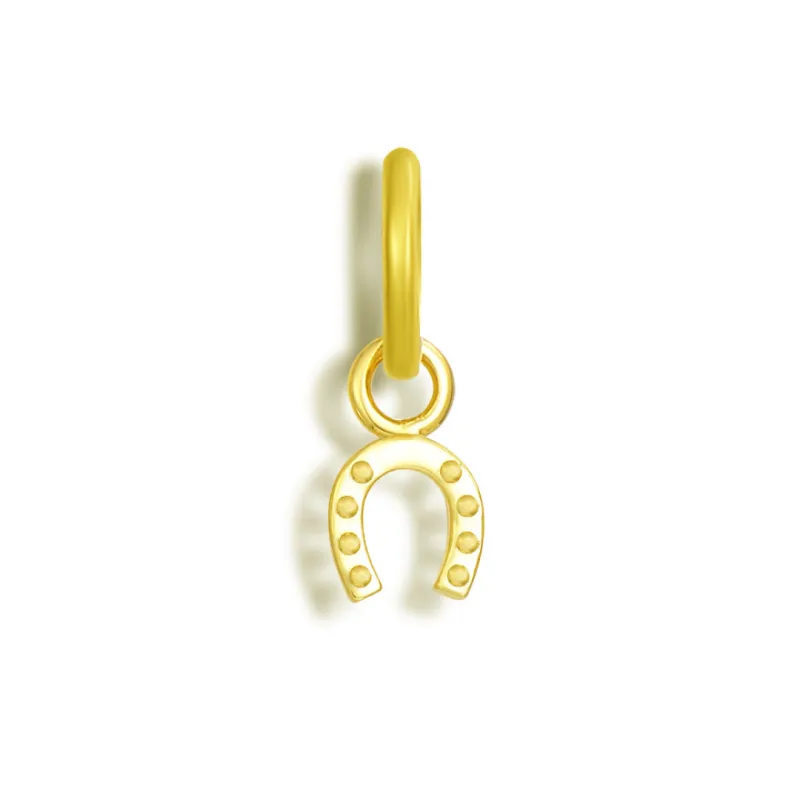 Good Fortune Charm (VIP) sold by Evry Jewels
