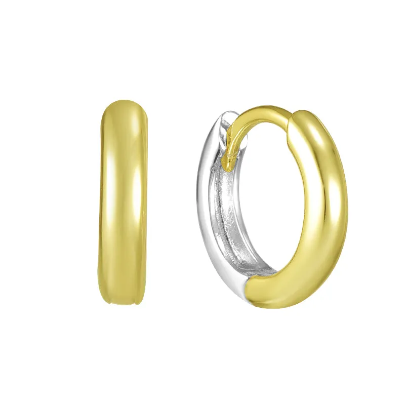 Two Tone Earrings sold by Evry Jewels product image thumbnail 3