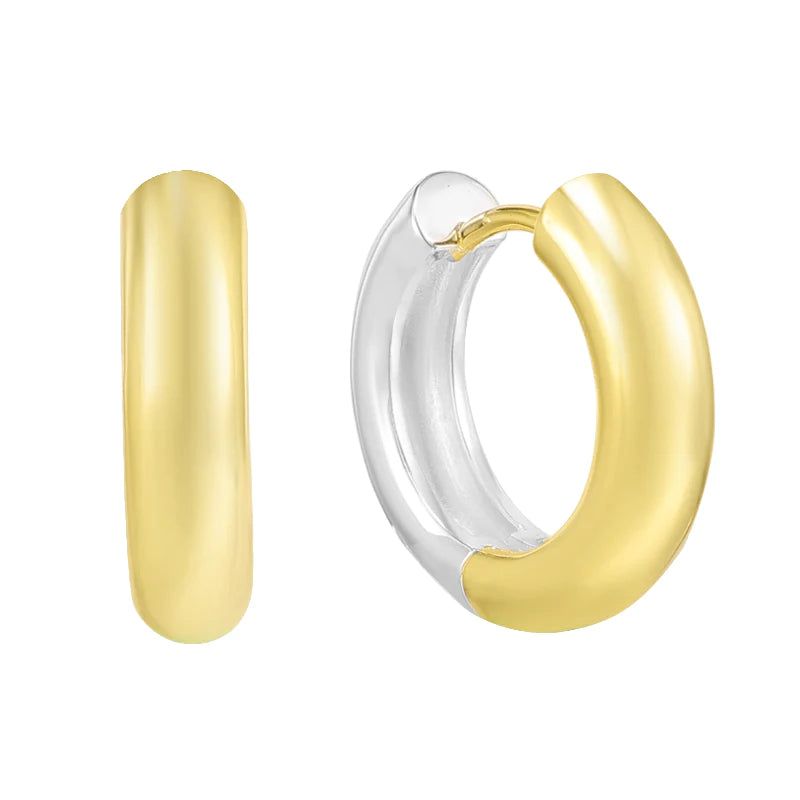 Two Tone 2.0 Earrings sold by Evry Jewels