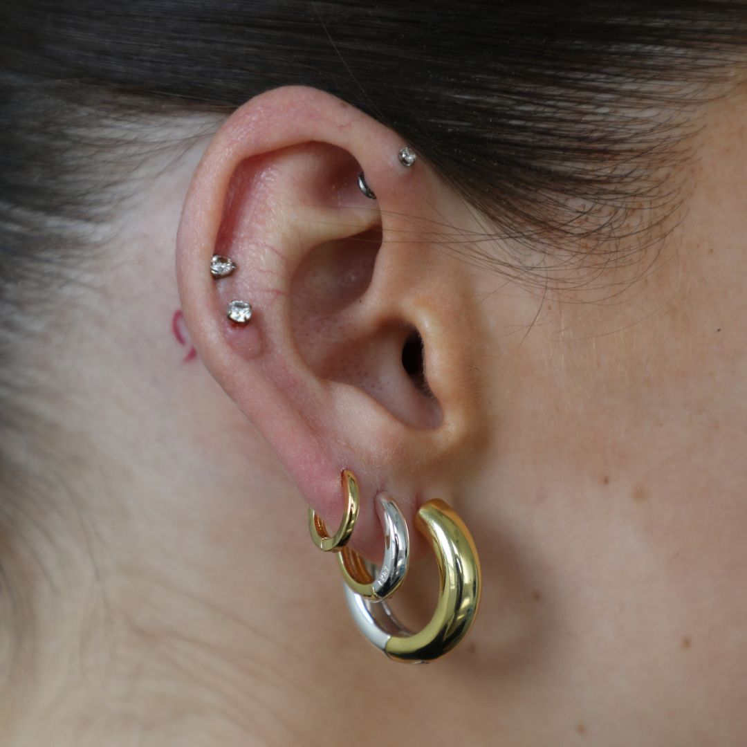 Two Tone 2.0 Earrings sold by Evry Jewels product image thumbnail 2