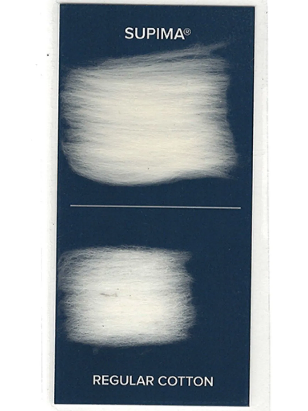 The Nomi - Cropped Sweater sold by Ameliora product image thumbnail 5