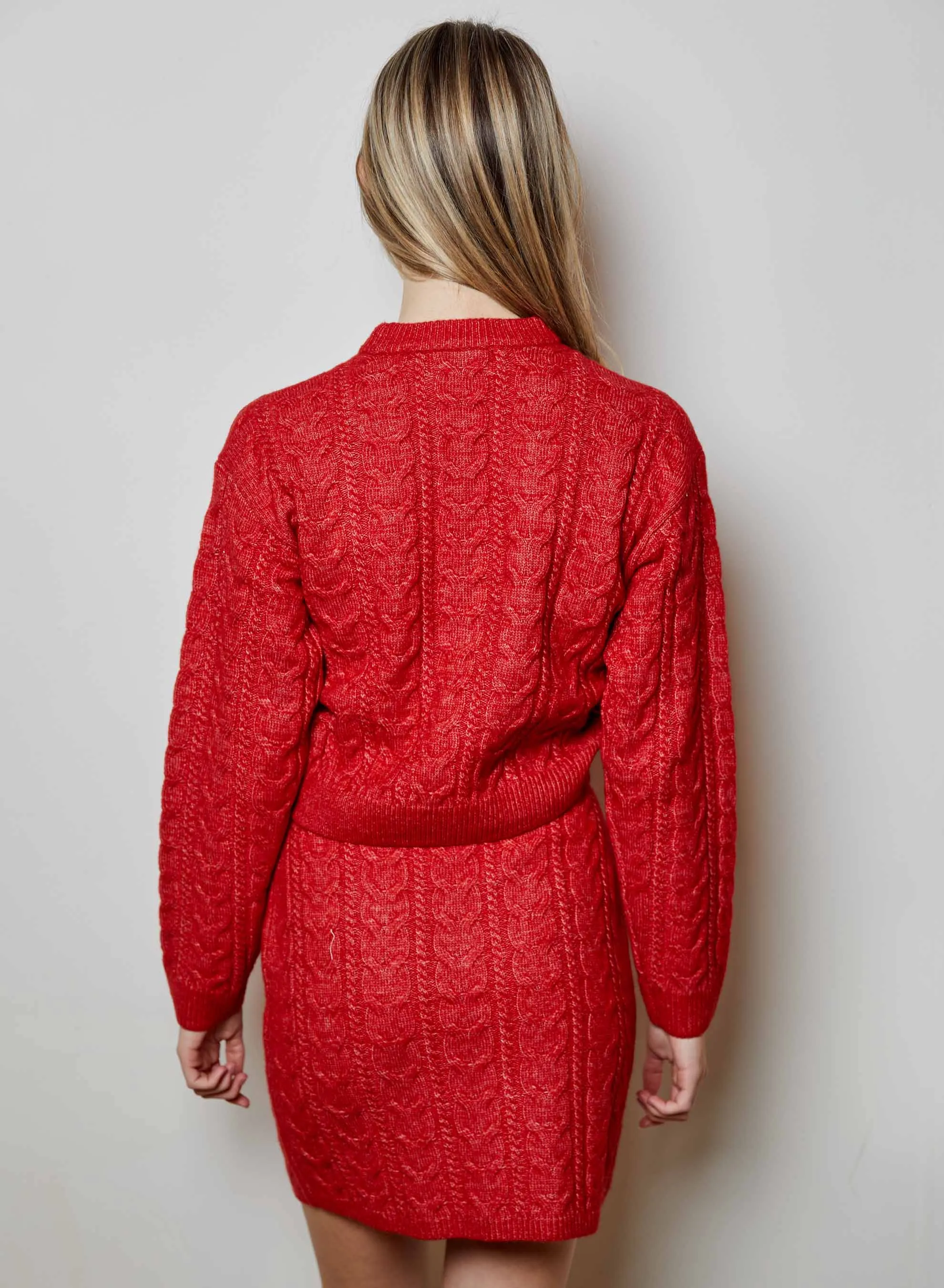 Bria Skirt sold by DH New York product image thumbnail 4