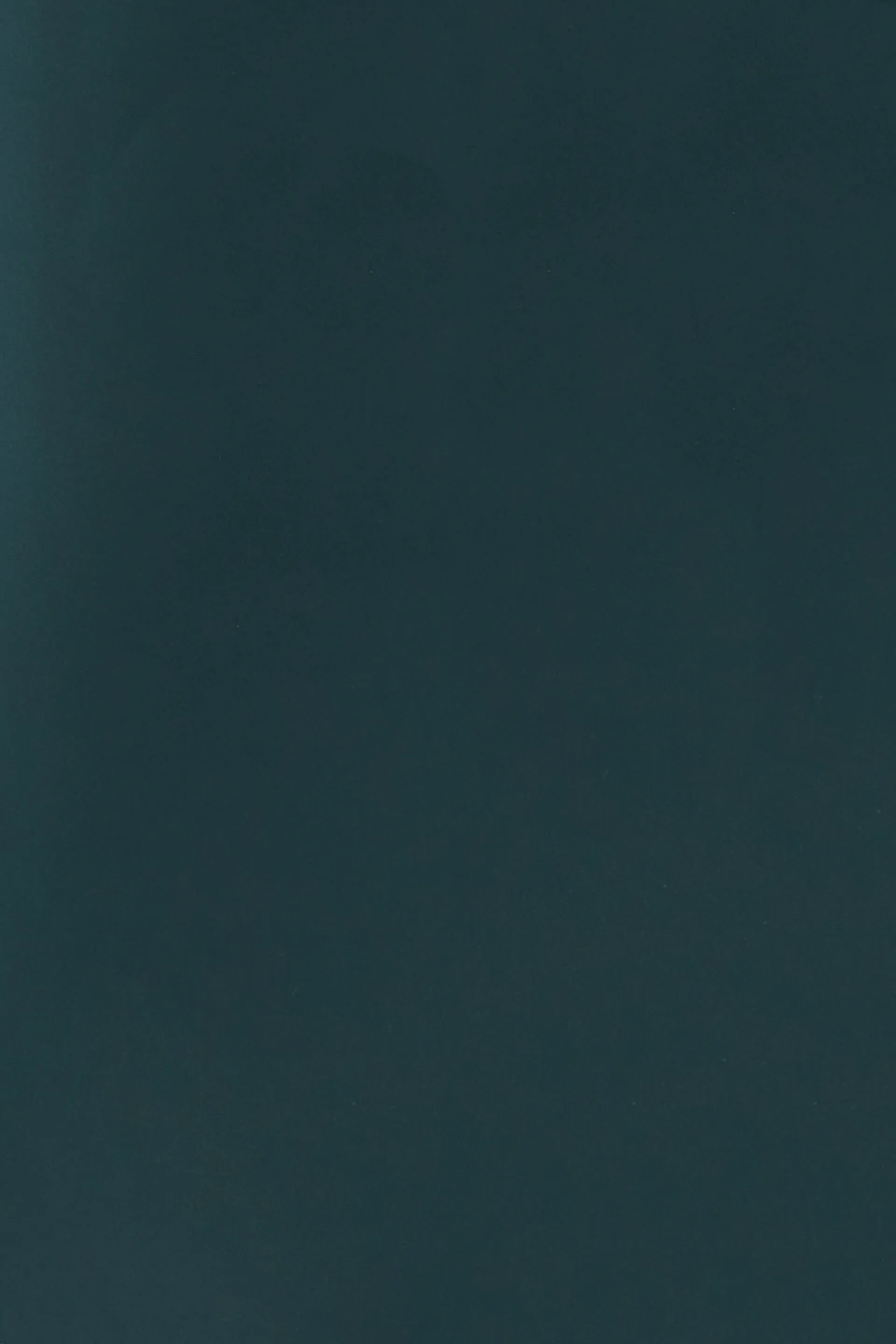 Urbane Colour Block Sheath Dress - Dark Green sold by Salt Attire product image thumbnail 5