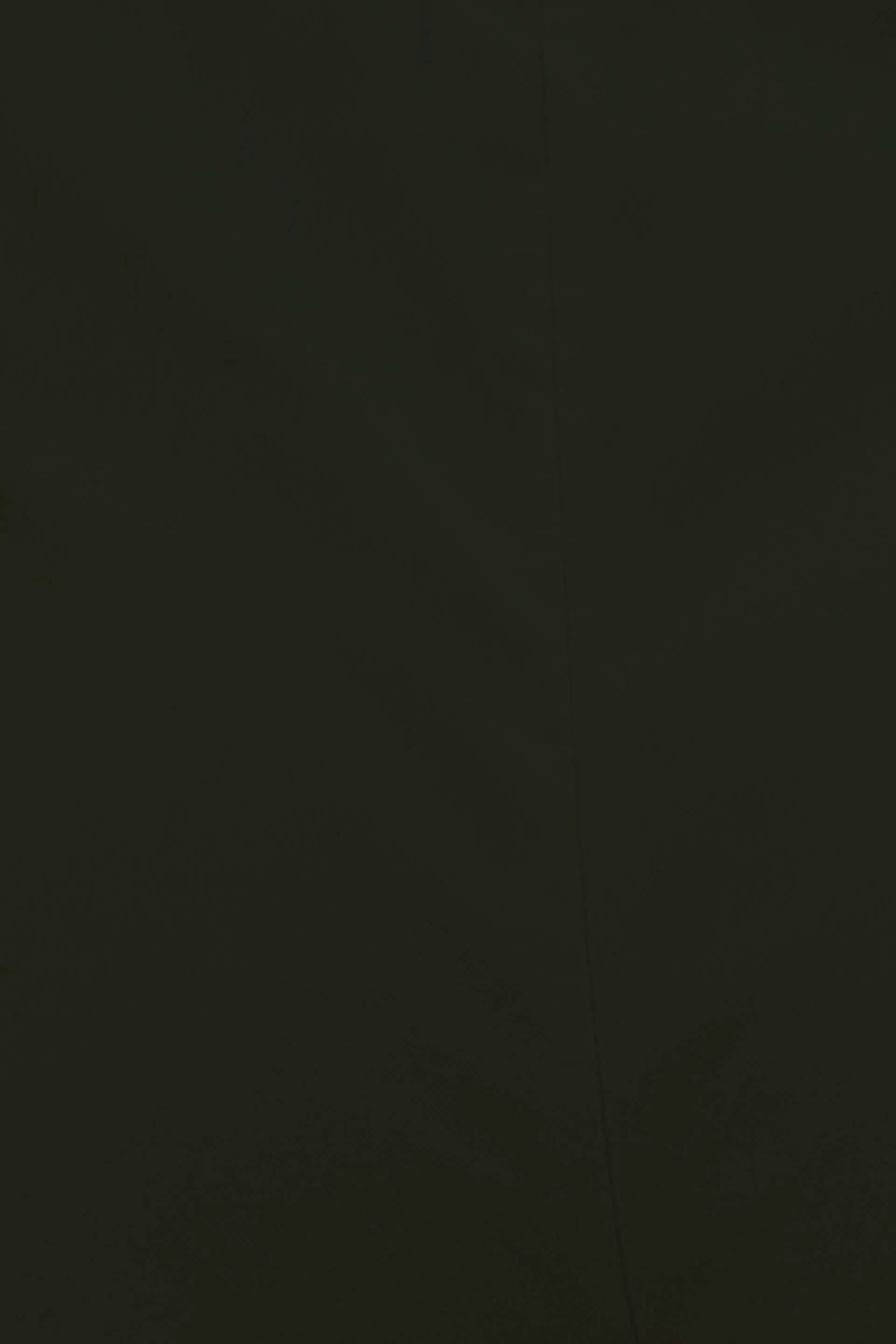 Mentos Elasticated Wide Leg Trousers - Olive Green sold by Salt Attire product image thumbnail 5