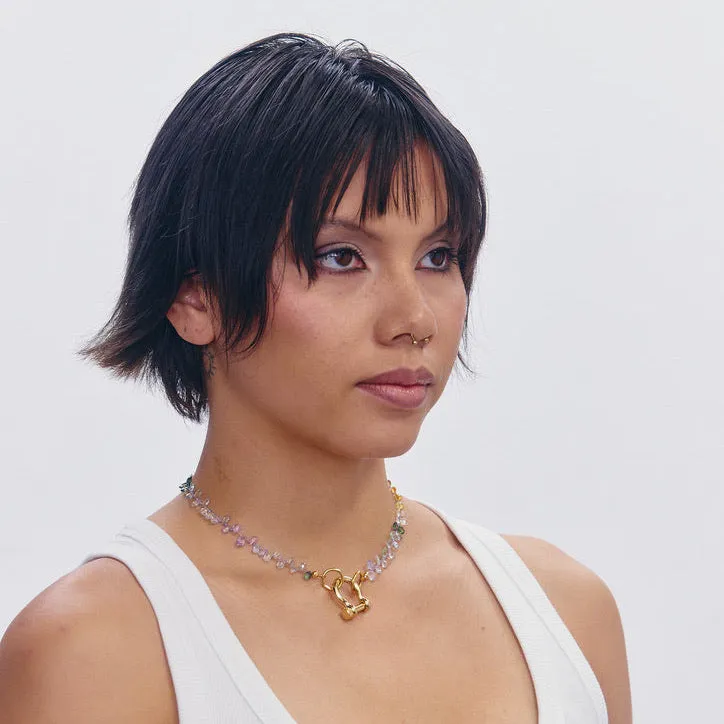 Violet sold by Spicy Dan product image thumbnail 3