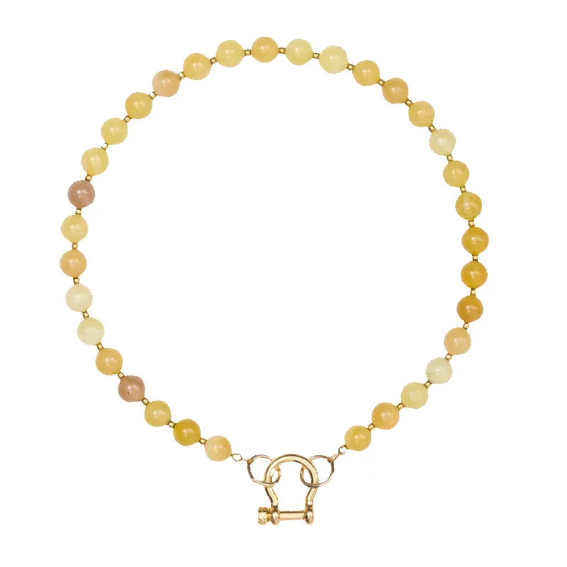 Sonny sold by Spicy Dan