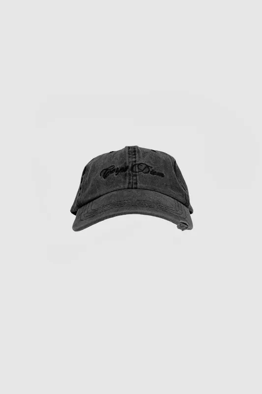 Carpe Diem Grey Dad Cap sold by Deadwood Studios