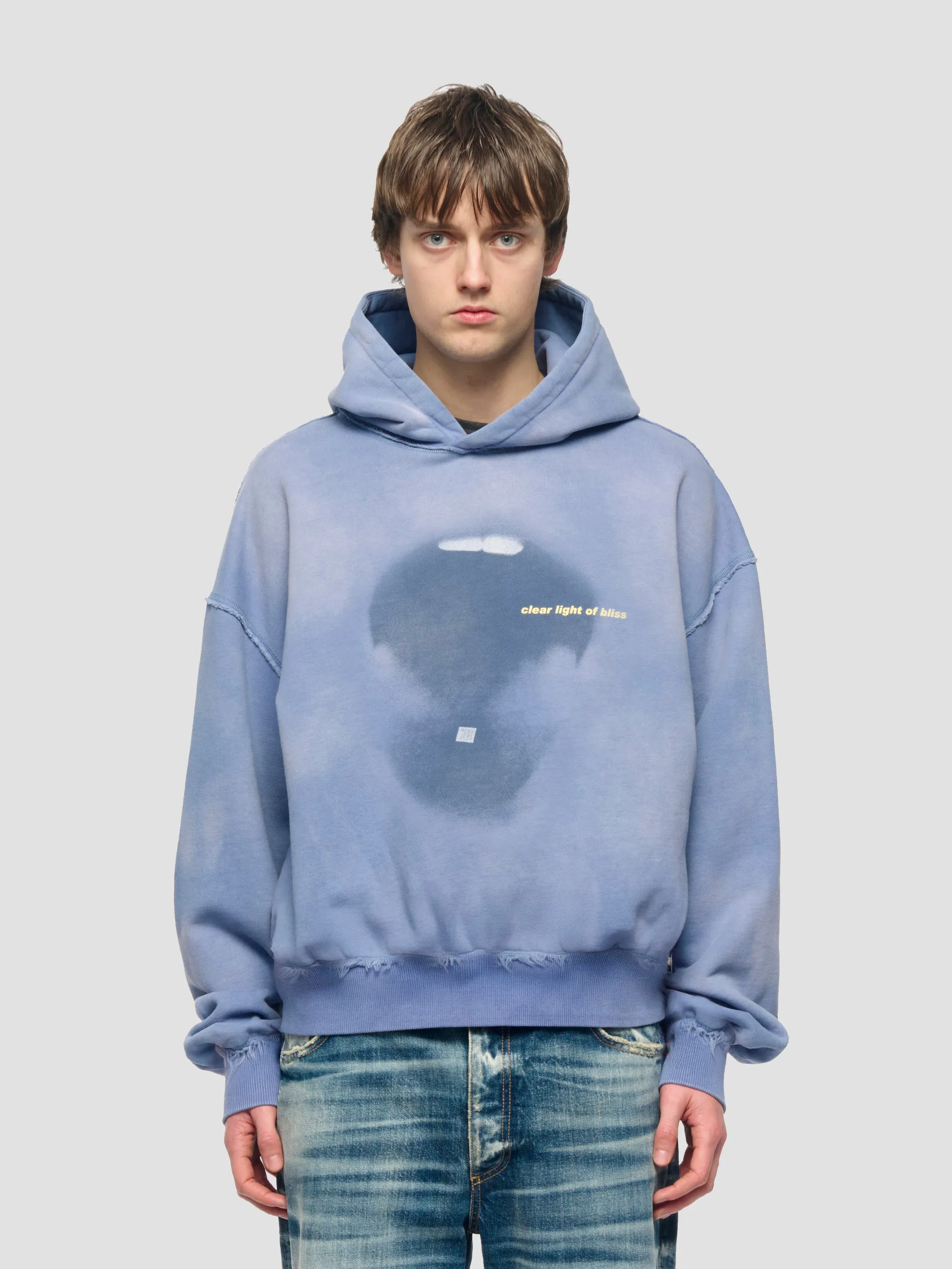 Lsd Ocean Wash Hoodie sold by MISBHV