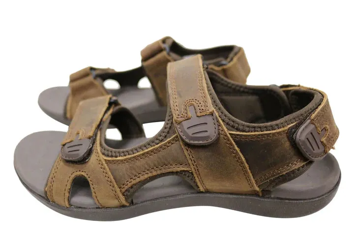 Scholl Brody Brown sold by Bayside Shoe Warehouse product image thumbnail 5