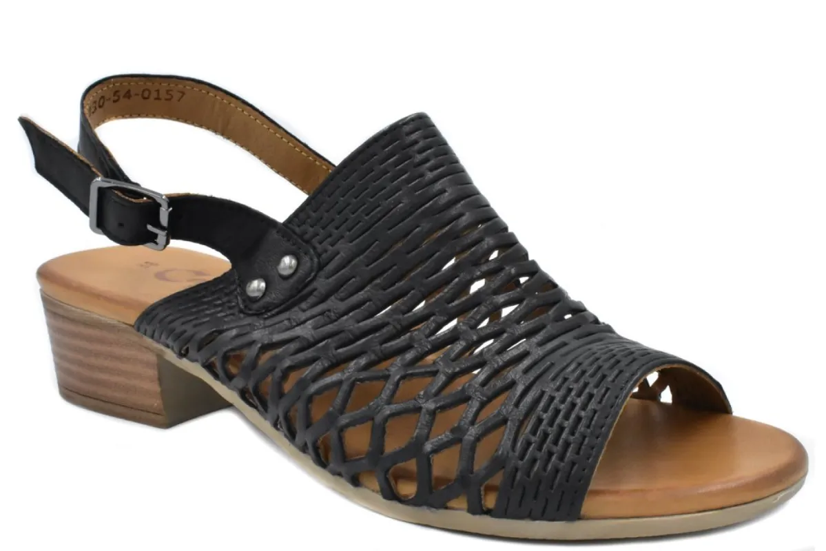 Cabello Alaca Black sold by Bayside Shoe Warehouse