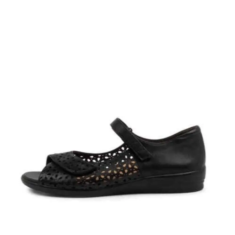 Ziera Daffodil W Black sold by Bayside Shoe Warehouse