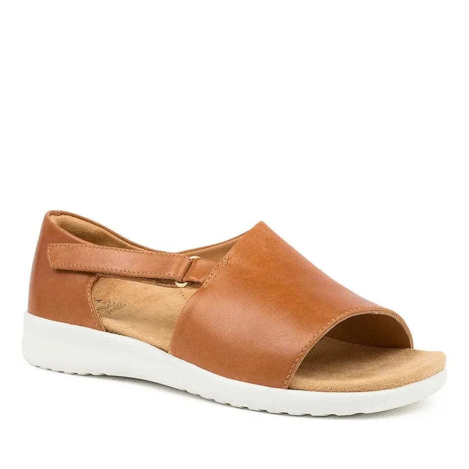 Ziera Brenan XW-ZR Tan sold by Bayside Shoe Warehouse product image thumbnail 3
