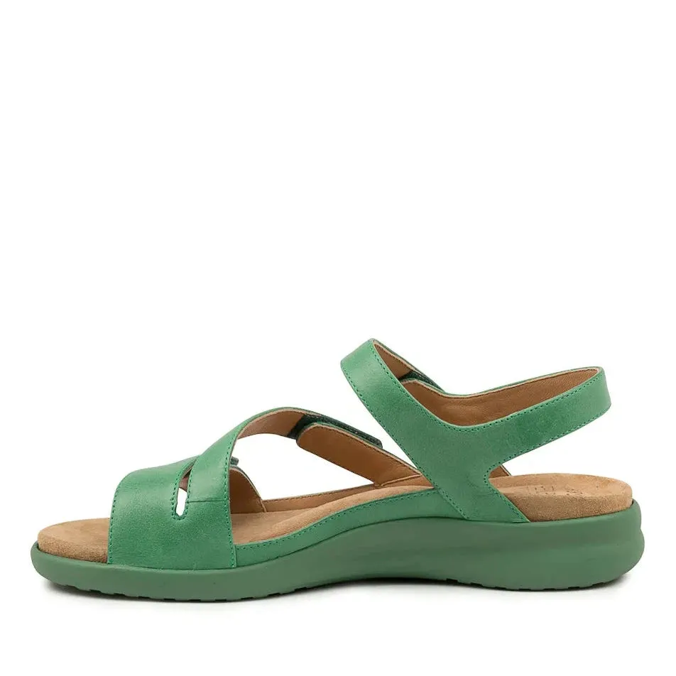 Ziera Boyde XW-ZR Spearmint sold by Bayside Shoe Warehouse product image thumbnail 2