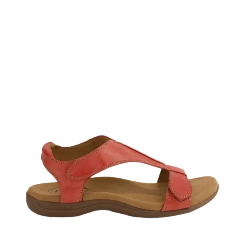 Taos The Show Brusch sold by Bayside Shoe Warehouse