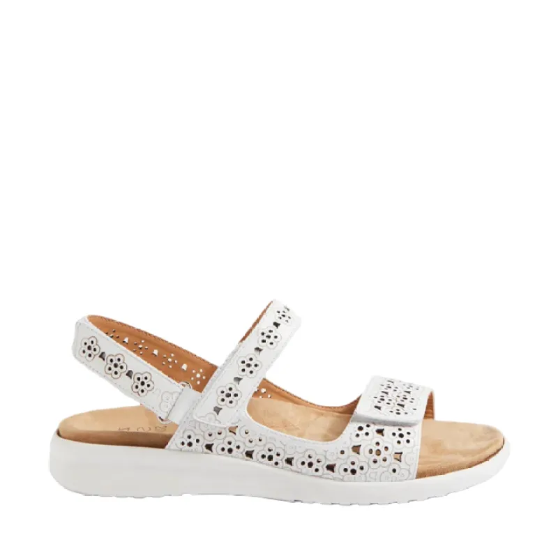 Ziera Belon White-White sold by Bayside Shoe Warehouse