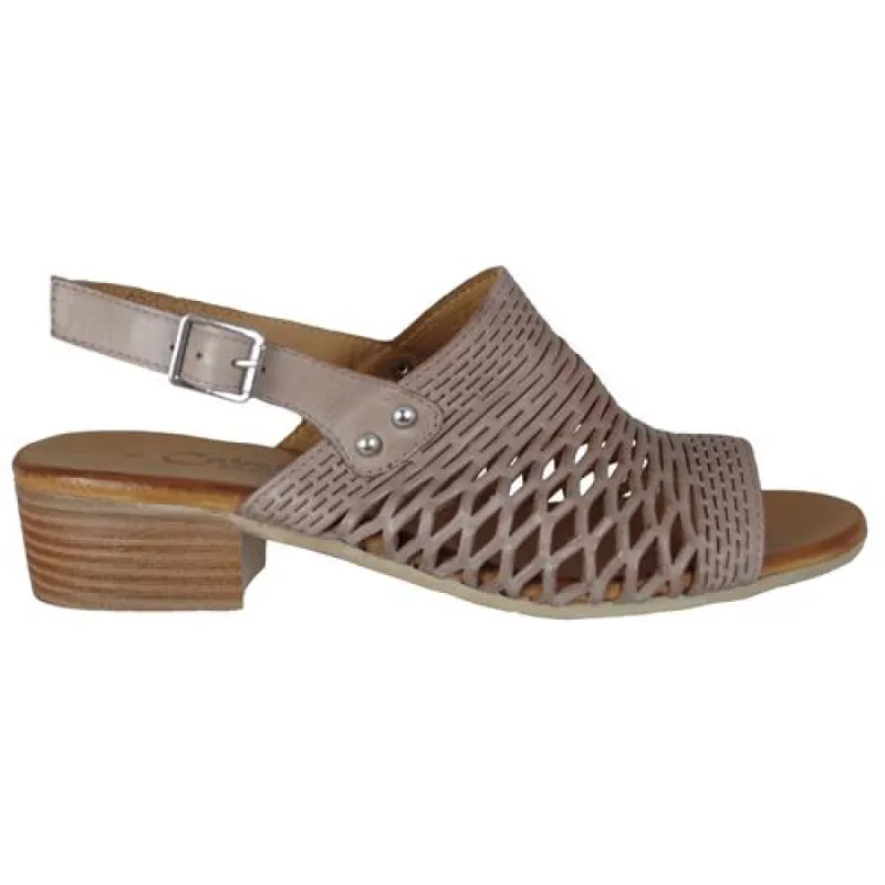 Cabello Alaca Taupe Heeled Adjustable Sandal sold by Bayside Shoe Warehouse