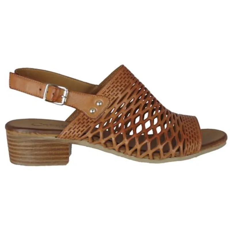 Cabello Antas Black sold by Bayside Shoe Warehouse