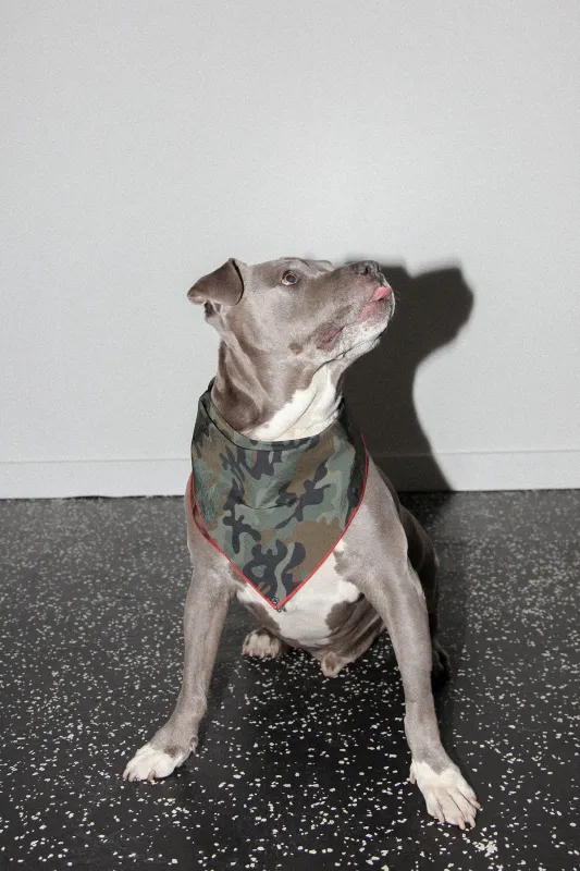 Pierced Bandana in Camo Nylon sold by KkCo