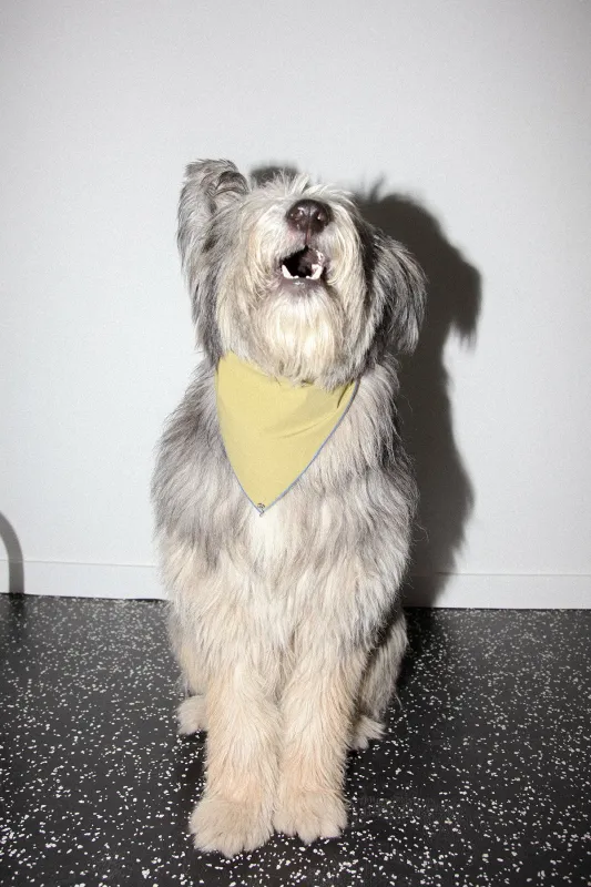 Pierced Bandana in Olive Dyed Nylon sold by KkCo