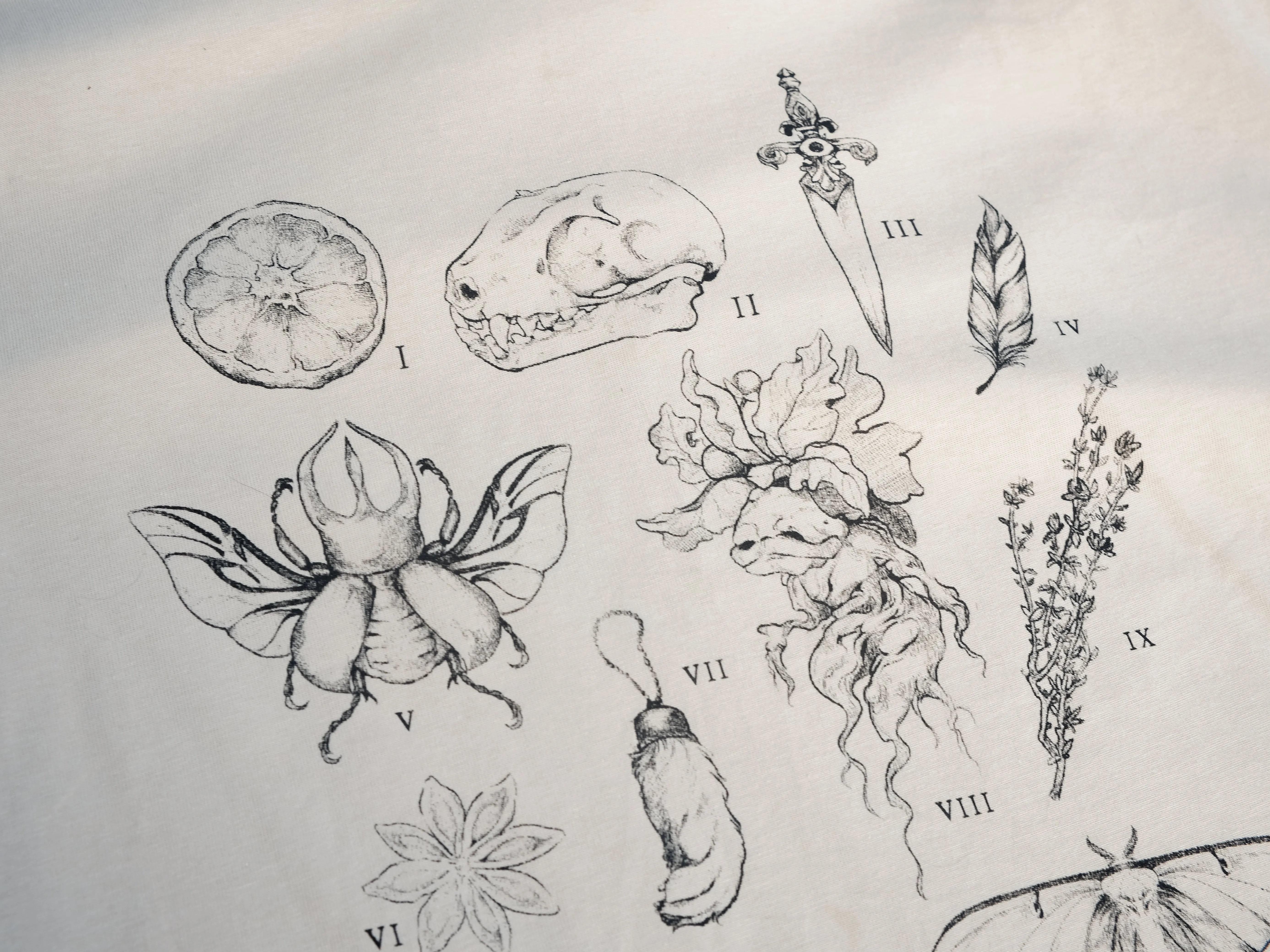 The Curio Cabinet Tee // Mid-Weight sold by Knock Thrice product image thumbnail 5