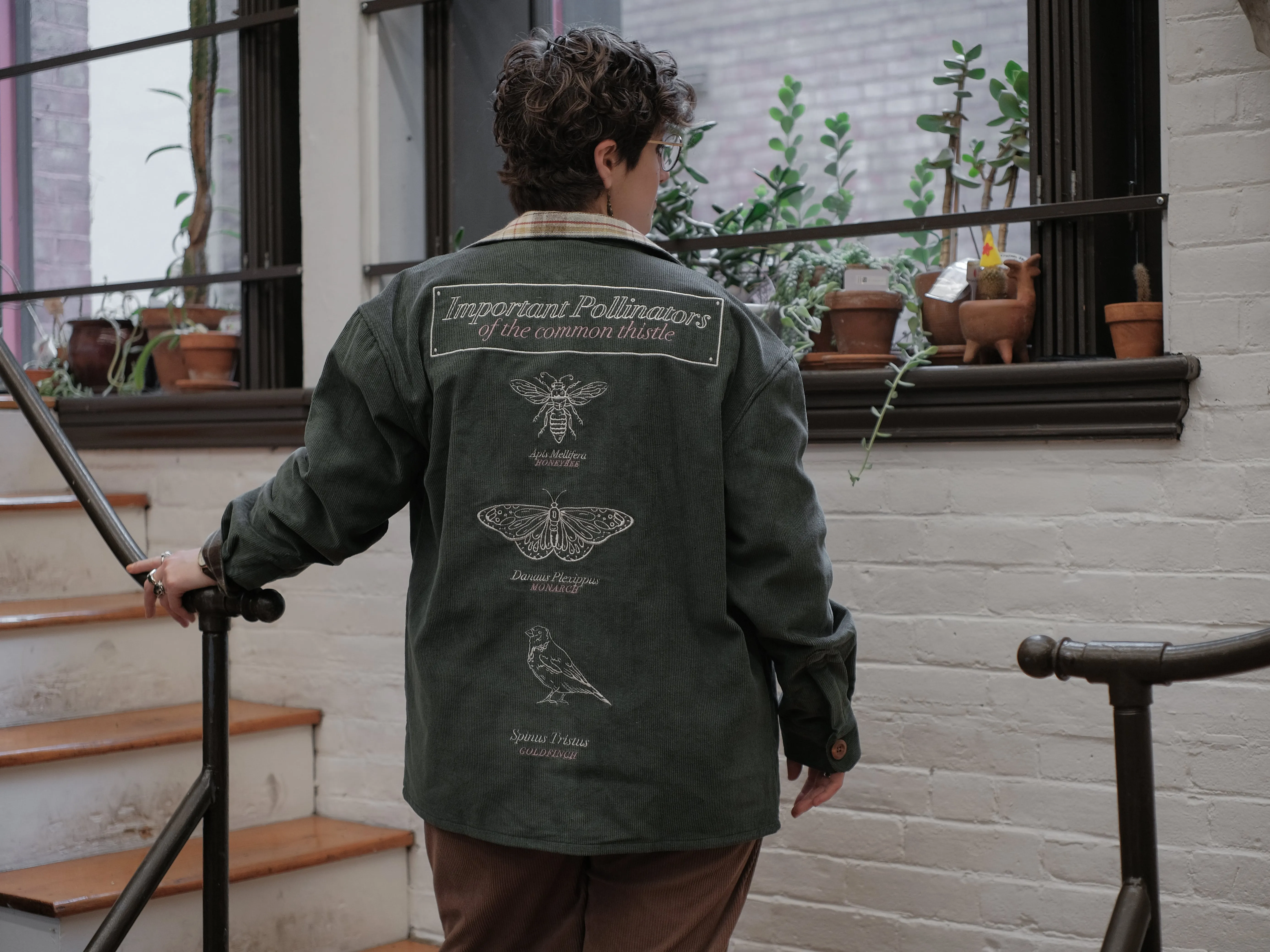 Common Thistle // The Botanist's Journal Jacket sold by Knock Thrice product image thumbnail 2