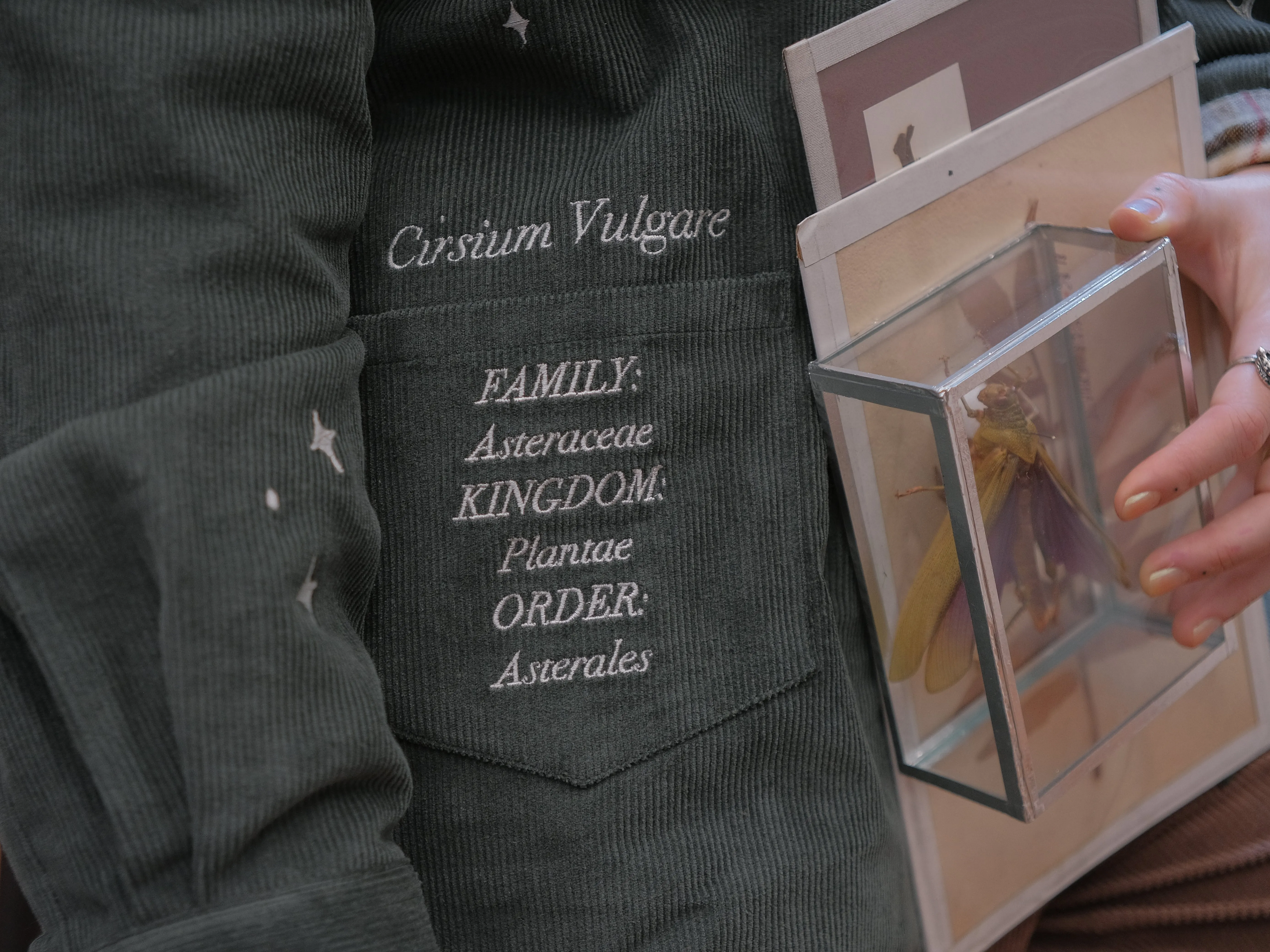 Common Thistle // The Botanist's Journal Jacket sold by Knock Thrice product image thumbnail 5