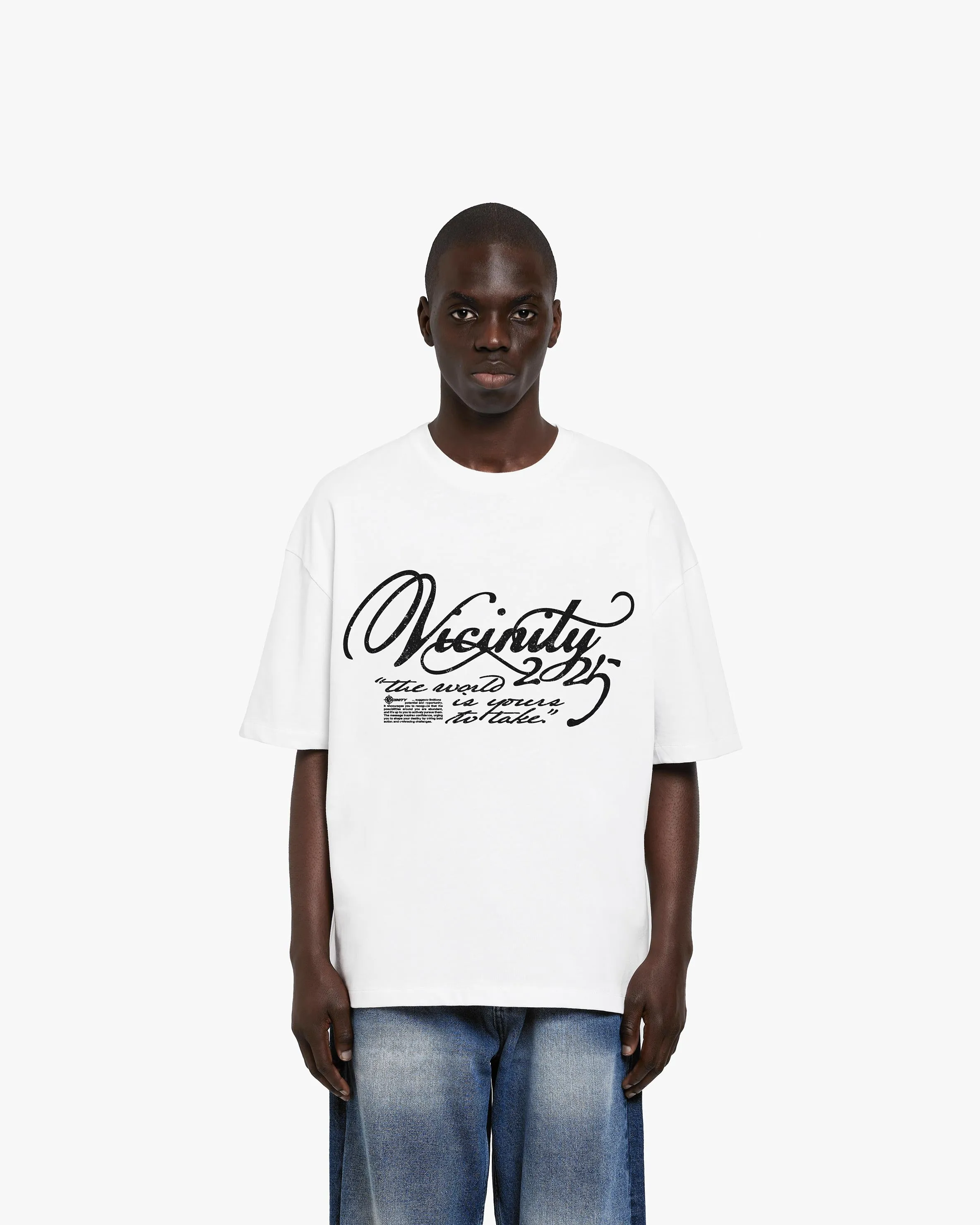 SINUOUS TEE WHITE sold by vicinity product image thumbnail 2