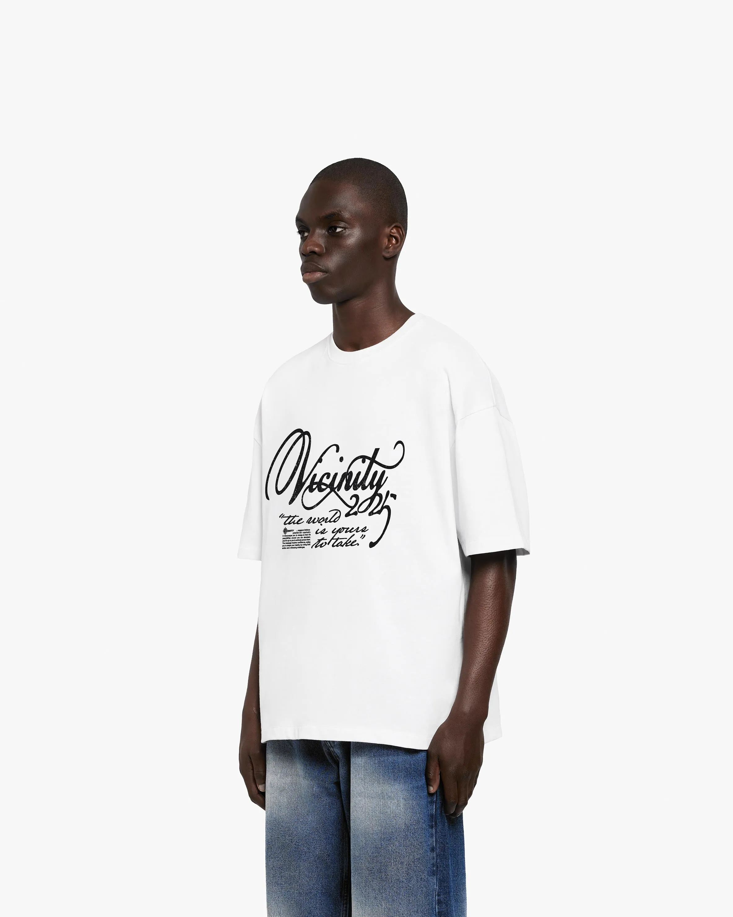 SINUOUS TEE WHITE sold by vicinity product image thumbnail 3