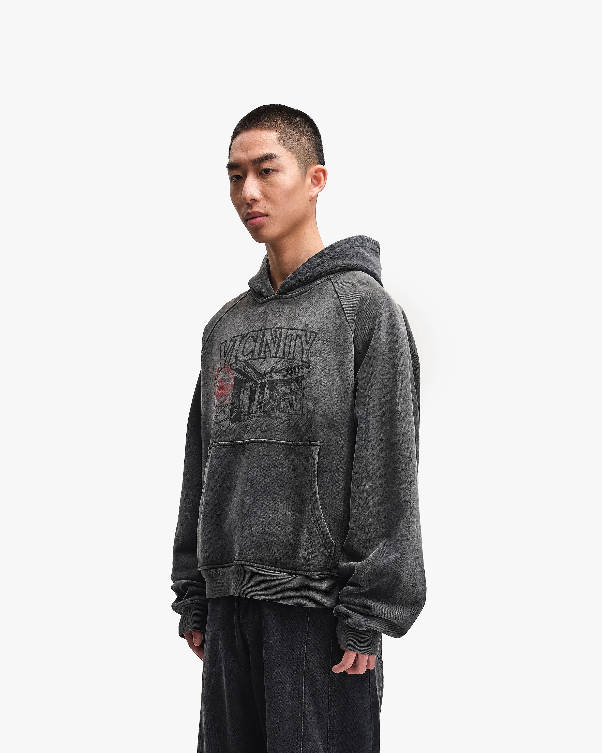 GALLERY HOODIE WASHED GREY sold by vicinity product image thumbnail 4