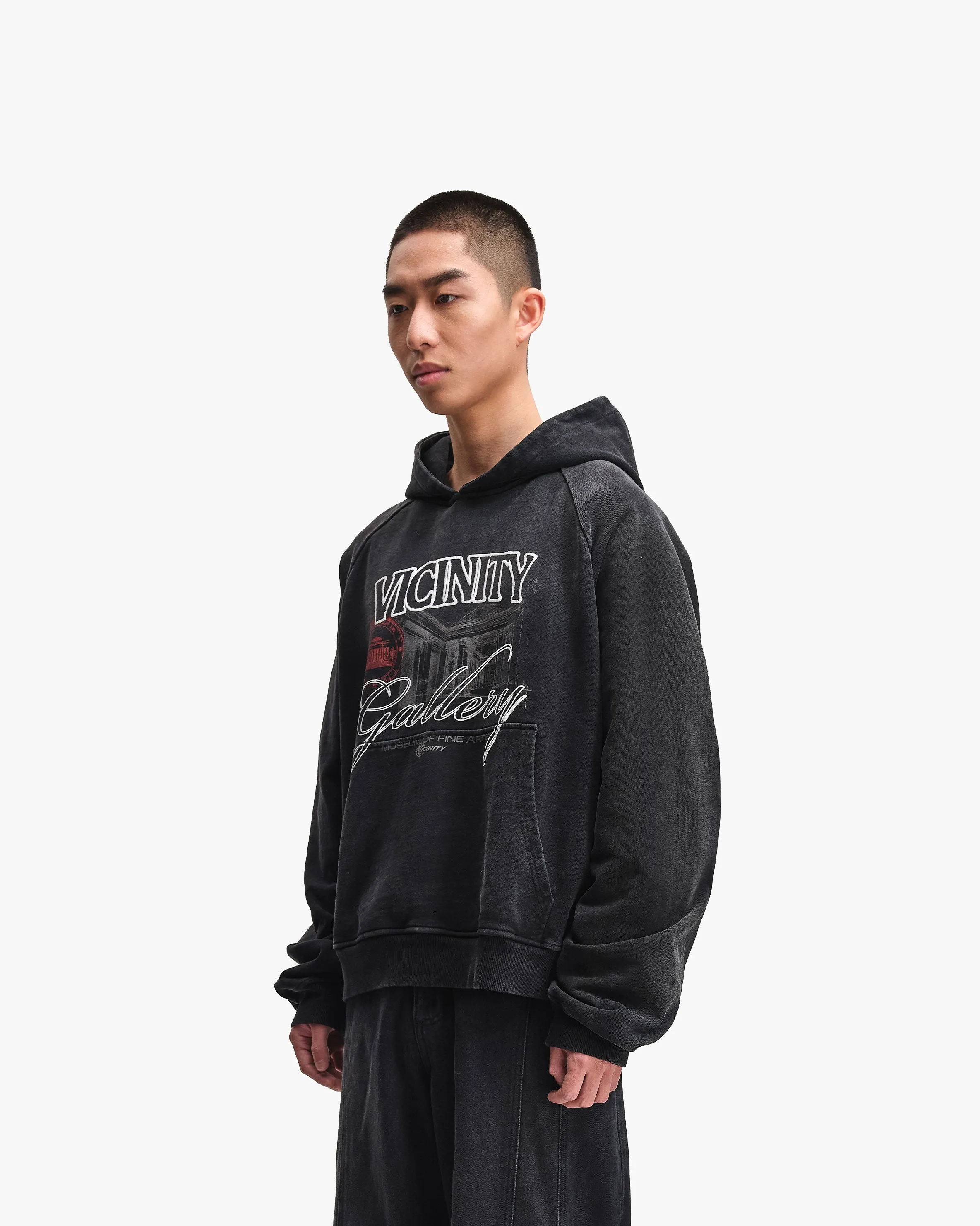GALLERY HOODIE WASHED BLACK sold by vicinity product image thumbnail 4