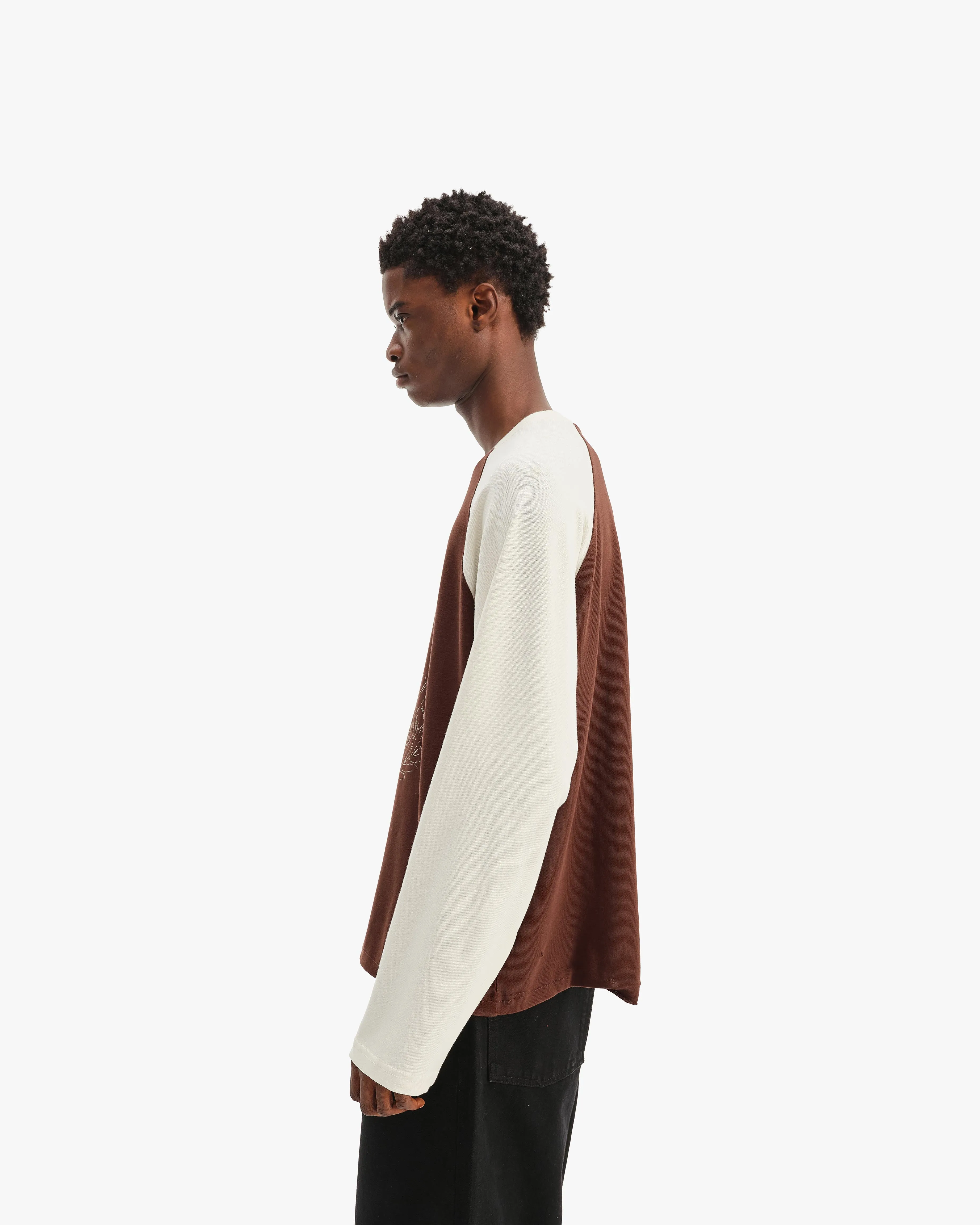 HALL OF FAME LONGSLEEVE BROWN/CREAM sold by vicinity product image thumbnail 4